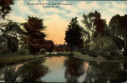 Swans and Lily Pond, Oak Hill Cemetery Postcard