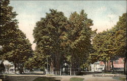 Vermont Common Postcard