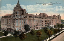 American Museum of Natural History New York City, NY Postcard Postcard