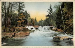 The Wild Cat River and Falls Postcard