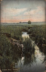 View of Marshes Ipswich, MA Postcard Postcard