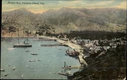 Aerial View of Avalon Bay Postcard