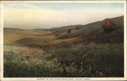 Sunset in the Hills Nantucket, MA Postcard Postcard