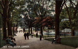 Frog Pond Boston, MA Postcard Postcard