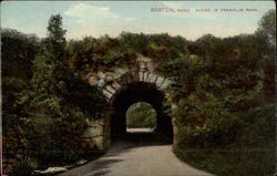 Scene in Franklin Park Postcard