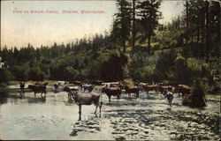 View of Waikiki Ranch Spokane, WA Postcard Postcard