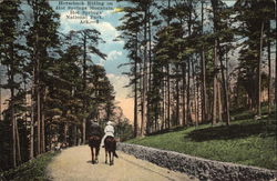 Horseback Riding on Hot Springs Mountain Postcard