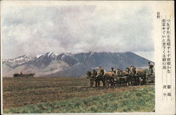 Farming Scene Japan Postcard Postcard