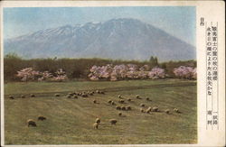 Scenic View Postcard