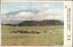 Scenic View Postcard