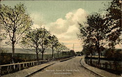 Western Road & Public Park Postcard