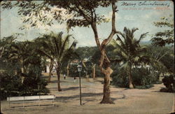 Arecibo Plaza Postcard