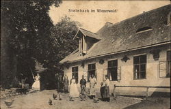 Steinbach im Wienerwald Postcard