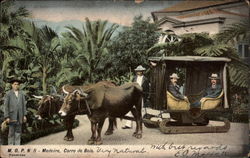 Wooden Ox-Drawn Cart Madeira, Portugal Postcard Postcard