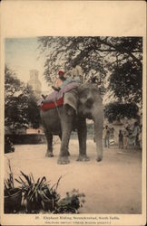 Elephant Riding Postcard