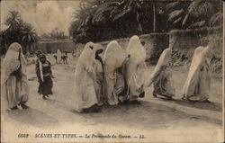 A Harem Walking Down the Street Postcard