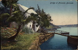 View of Bridge and Cottage Norwood, Bermuda Postcard Postcard