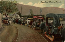 Sled Cabs Madeira Islands Spain Postcard Postcard