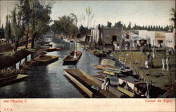 Canal de Viga Postcard