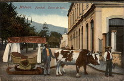 Wooden Ox Cart Funchal, Madeira Portugal Postcard Postcard