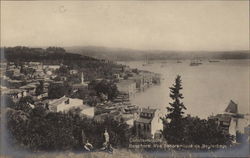 Constantinople, the Bosphorus, Panorama of Beylerbey Postcard