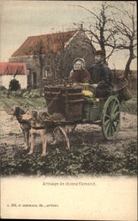 Flemish Dog Cart Postcard