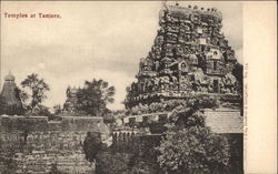 View of Temples Postcard