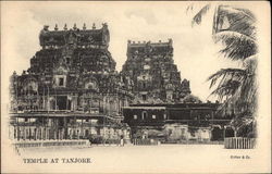 View of Temple Postcard