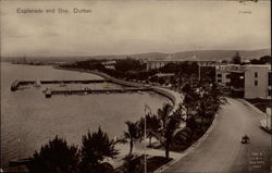 Esplanade and Bay Durban, South Africa Postcard Postcard