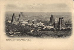 Bird's Eye View of Temple Postcard