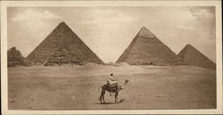 General View of the Four Pyramids Cairo, Egypt Africa Postcard Postcard