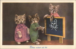 3 kittens at a Chalkboard Postcard