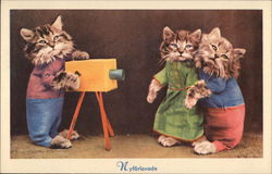 Kittens with a camera Cats Postcard Postcard