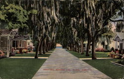 Beautiful Benachi Avenue Biloxi, MS Postcard Postcard