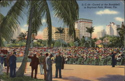 Crowd at the Bandshell in Bayfront Park Postcard