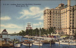 Looking North from MacArthur Causeway Postcard