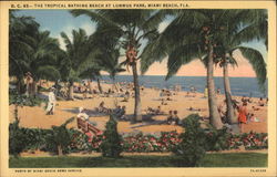 The Tropical Bathing Beach at Lummus Park Postcard