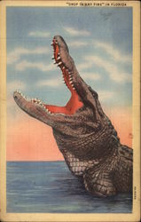 "Drop in Any Time" in Florida Postcard