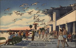 Lido Beach Casino - Feeding the Sea-Gulls Postcard