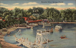 Beautiful Silver Springs Florida Postcard Postcard