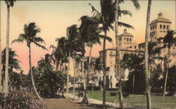 On the Lake Trail Palm Beach, FL Postcard Postcard