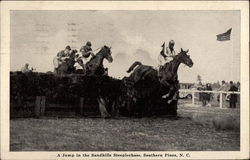 A Jump in the Sandhills Steeplechase Southern Pines, NC Postcard Postcard