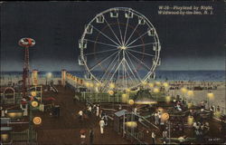 Playland by Night Postcard