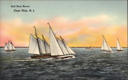 Sail Boat Races Cape May, NJ Postcard Postcard