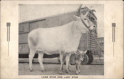 Lone Star and Lady Star Postcard