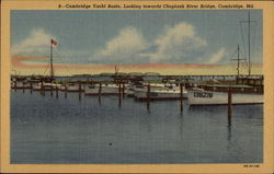 Cambridge Yacht Basin, looking towards Choptank River Bridge Postcard