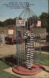 The Bird Cage, at the Old Jail St. Augustine, FL Postcard Postcard