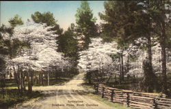 Springtime Postcard