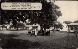 Lurita Farm Cabins Saratoga Springs, NY Postcard Postcard