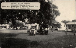 Lurita Farm Cabins Ballston Spa, NY Postcard Postcard